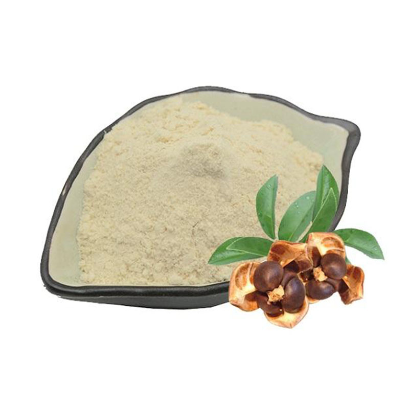 Tea Saponin Powder manufacturer Tea Saponin Powder manufacturer