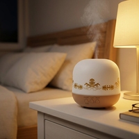 Diffuseur d'arômes ultrasonique pour huiles essentielles et parfums, avec motifs imprimés, vente en gros d'usine