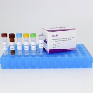 H1 Subtype RT-<span class=keywords><strong>PCR</strong></span> Kit CE IVD sertifikalı 50 <span class=keywords><strong>test</strong></span> hızlı ve doğru sonuçlar - Product Image 3