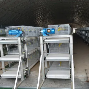 Fully Automatic Laying Chicken Breeding And Egg Collection System H-type Battery Layer Chicken Cage