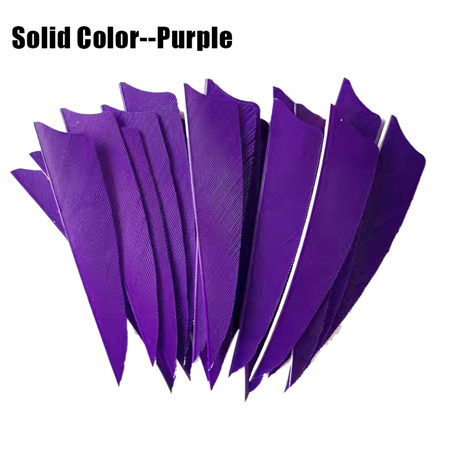 Color sólido-púrpura