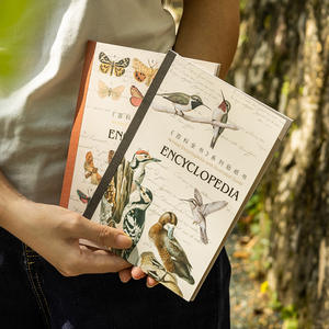 20 hojas/paquete de libros simulados de la <span class=keywords><strong>serie</strong></span> Enciclopedia, libro de pegatinas decorativas de Collage de estilo Vintage europeo - Product Image 2