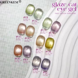เจลทาเล็บตาแมว15มล. 12สีน้ำยาทาเล็บเจลทาเล็บแบบแม่เหล็กติดเล็บสีขาวตาแมว - Product Image 3