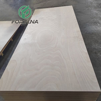 12mm 15mm 19mm 21mm Contenedor Armario Okouma Tablero de madera contrachapada
