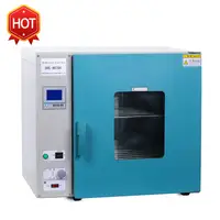 Hot Air Circulation Oven Circulation Drying Oven Hot Sale Forced Air Circulation Drying Oven