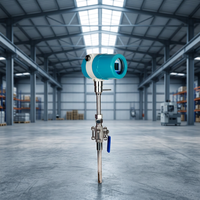 Standard Insertion DN40mm Flow Meter Compressed Air Natural Gas Flowmeter Thermal Gas Mass Flow Meter