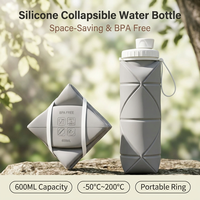 Bouteille d'eau pliable en silicone de qualité alimentaire résistante à la chaleur de 600 ml, portable, pour les voyages, les sports de plein air, avec logo personnalisable