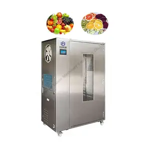 Commercial Mango pineapple drying machine fruit blueberry apricot hot air dryer oven dehydrator heat pump Apple Drying Machine