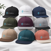 Casquette à visière plate avec logo personnalisé, panneaux latéraux perforés, options de couleurs bicolores, OEM ODM pour les marques de streetwear et de designers
