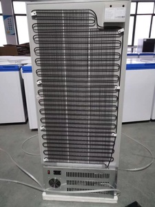 Solare 200L di alta qualità con congelatore verticale a buon prezzo con <span class=keywords><strong>6</strong></span> <span class=keywords><strong>cassetti</strong></span> BD-200 - Product Image 4