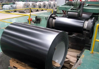 Bobine galvanisée prépeinte à tolérance de dimensionnement serrée, couleur RAL personnalisée pour la production de volets roulants et de portes métalliques