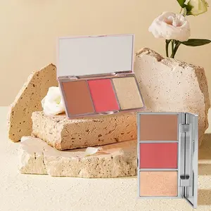 Nhãn hiệu riêng 3 trong 1 đa chức năng Vegan trang điểm Palette làm sáng da Highlighter đường viền Blush ép bột Palette