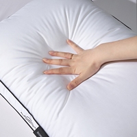 Meilleure Vente Oreillers et Coussins en Plumes d'Oie, Housses de Coussin en Soie, Oreillers de Lit de Luxe pour Hôtels (Tailles King et Queen), Rembourrage Doux en Plumes