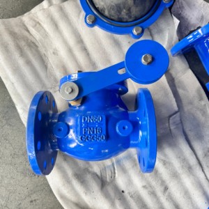 Hot Sale Factory Duction Lron Swing <strong>Check</strong> <strong>Valve</strong> H41w Pn16 Different Sizes Low Price <strong>Api</strong> Compliant - Product Image 3