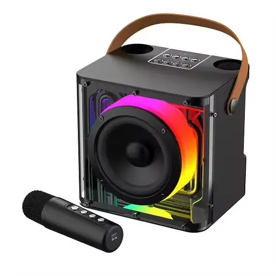 Mini haut-parleur karaoké professionnel Ys-307 avec haut-parleur Bluetooth sans fil portable à lumière LED avec double microphone sans fil