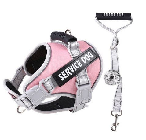 Harnais poitrine rose + laisse