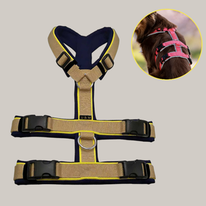 Coleira Tática Personalizada para Cães, Design em Y, Durável, Com Almofadas Macias para Treinamento - Product Image 1