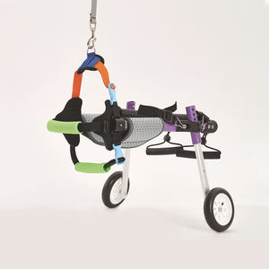 Silla de Ruedas para Perros con Discapacidad, Venta al Por Mayor del Fabricante - Product Image 6