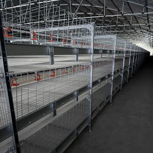 معدات تربية الدجاج الأوتوماتيكية على شكل حرف H مع أقفاص بطارية جديدة للدجاج البياض مصنوعة من الفولاذ المغلفن بالغمس الساخن لنيجيريا - Product Image 6