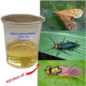 Insecticida de Alta Eficacia Alfa Cipermetrina 5% 25%EC para el Control de Plagas en Cultivos de Algodón y Vegetales - Product Image 5