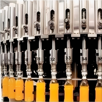 Automatische Hoge Capaciteit Mineraalwater Vruchtensap (Sinaasappel/Appel/Druif) Bottelende Vulling Capping Line Shandong Fabrikant