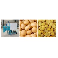 Machine à fendre l'éplucheur de lentilles de grande capacité petite machine à décortiquer le soja