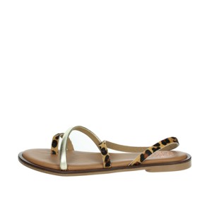 SANDALIAS BAJAS 3093 MARRÓN/DORADO - Product Image 1