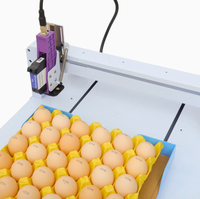 Codeur jet d'encre à plateau automatique : Imprime date, QR, logo sur œufs, gelée, bonbons, marqueur transversal de bureau pour l'agroalimentaire, les fermes et les petites ateliers