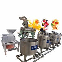 Machine à jus d'orange et de mangue aux fruits frais - Ligne de production de machines de fabrication de boissons industrielles avec acier inoxydable, personnalisable