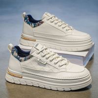 Baskets décontractées pour hommes, nouvelle collection printemps, prix de gros, best-seller, polyvalentes, style skateboard, rehaussantes, blanches, sportives et tendance