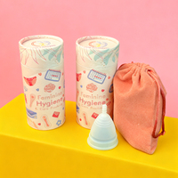 Produits d'hygiène féminine écologiques, boîte de rangement discrète pour les règles, étui portable pour coupe menstruelle, taille voyage, tampon