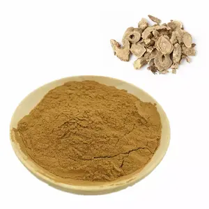 High Quality Superfoods Factory supply Organic costus root powder costus powder