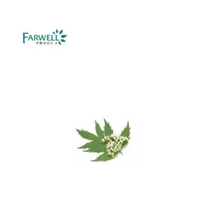 Dầu Valerian Chất Lượng Cao Farwell CAS 8008-88-6