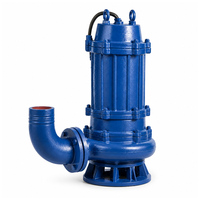 Pompes submersibles résidentielles série WQ pour le traitement des eaux usées avec support OEM personnalisé