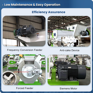 Mulino <span class=keywords><strong>per</strong></span> <span class=keywords><strong>Pellet</strong></span> di Biomassa Multifunzionale RICHI - Mulino <span class=keywords><strong>per</strong></span> <span class=keywords><strong>Pellet</strong></span> di Legno da Tronchi, Trucioli e Segatura in Vendita - Product Image 4