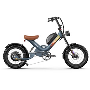 Bicicleta Eléctrica con Llantas Gruesas de 20 Pulgadas, 2000W, Batería de Litio, Cuadro de Acero al Carbono para Entrega de Comida - Product Image 1