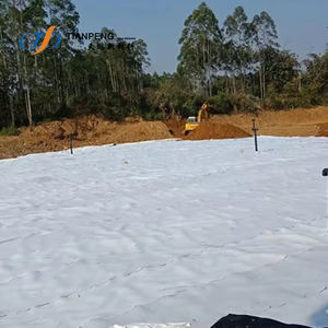 Réseau de drainage composite 3d Filet de drainage géocomposite en plastique pour le drainage <span class=keywords><strong>ferroviaire</strong></span> - Product Image 5