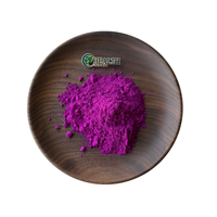 Poudre de fruit du dragon lyophilisée, poudre de pitaya naturelle, fournisseur en gros, poudre de jus de fruit du dragon rouge pour boissons, smoothies et pâtisseries
