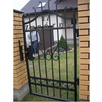 Conception simple villa clôture et porte jardin noir petite porte piétonne