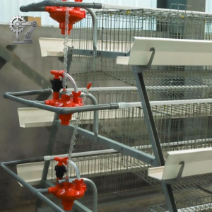 Gabbie per Galline Ovaiole Automatiche <span class=keywords><strong>a</strong></span> 4 Livelli, Zincate, per Allevamento Avicolo, da 120, 128, 160 Posti - In Vendita - Product Image 2