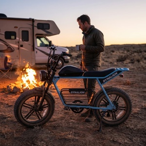 Vélo électrique à 7 vitesses avec pneus de 4 pouces, vélo électrique pour voyages en camping-car et en tout-terrain - Product Image 6