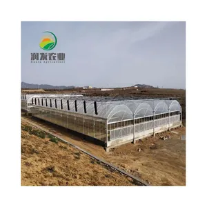Serra agricola Multi-campata in vendita con sistema di coltivazione idroponica e ventola di ventilazione per grondaia in tessuto ombreggiante
