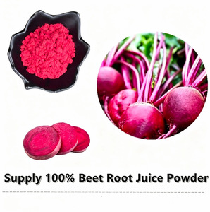 Polvere di Barbabietola Rossa al 20% per Maschere, Best Seller - Product Image 3