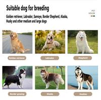 Eenvoudige Montage Metgezel Wonen Dubbele Hondendeur Kennel Metgezel Wonen