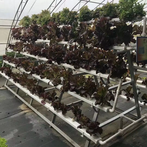 Estante de cultivo hidropónico apilable | Sistema eficiente de ahorro de espacio para cultivo de vegetales en interiores - Product Image 4
