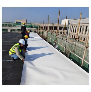 1,5mm PVC TPO Epdm Membrana impermeable Diseño industrial verde Sistema de techo verde para exteriores Resistente al agua - Product Image 1