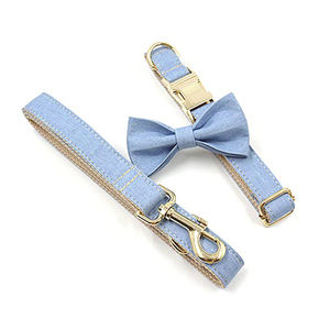 مجموعة عربة ومقود عالية الجودة إكسسوارات تدريب الكلاب الياقات الفاخرة للحيوانات الأليفة شخصية ذهبية ، - Product Image 6