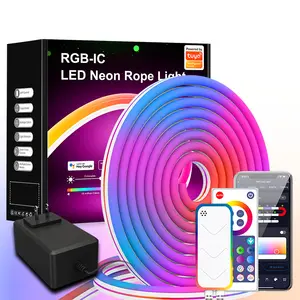 Tự làm thông minh Wifi điều khiển từ xa Bluetooth âm nhạc LED Silicone Neon dải ánh sáng