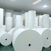 Rouleau de papier en feuille éventail pour gobelets, revêtement PE simple et double, qualité cinq étoiles et Enso, vente directe usine