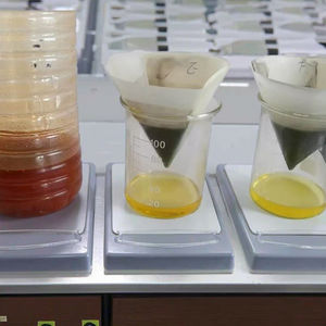 Argila Ativada de Alta Qualidade para Refino de Óleo Lubrificante Usado e Óleo Residual - Product Image 5